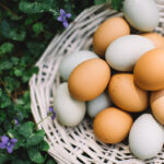 5 mituri despre consumul de ouă