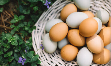 5 mituri despre consumul de ouă